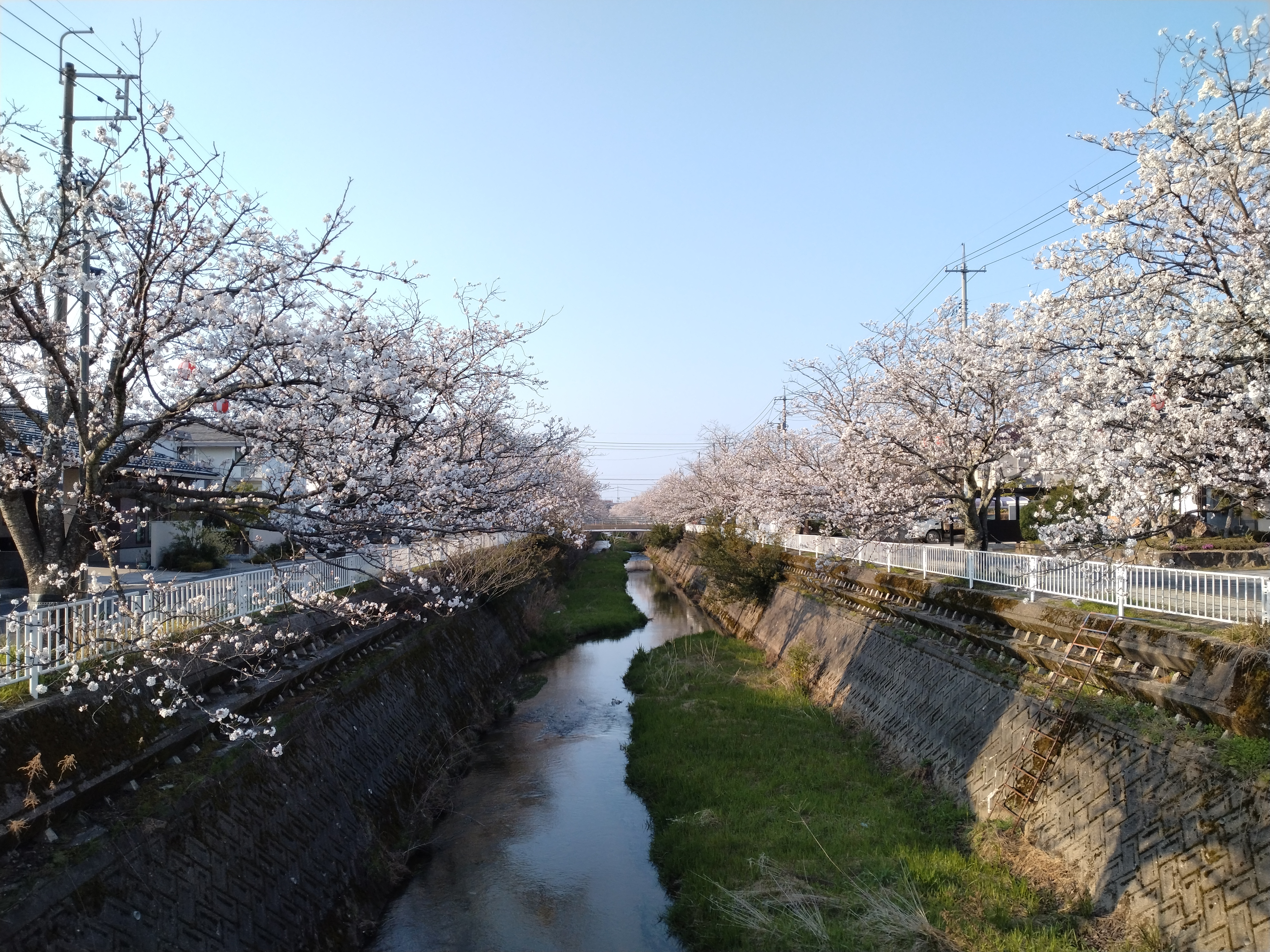 写真2