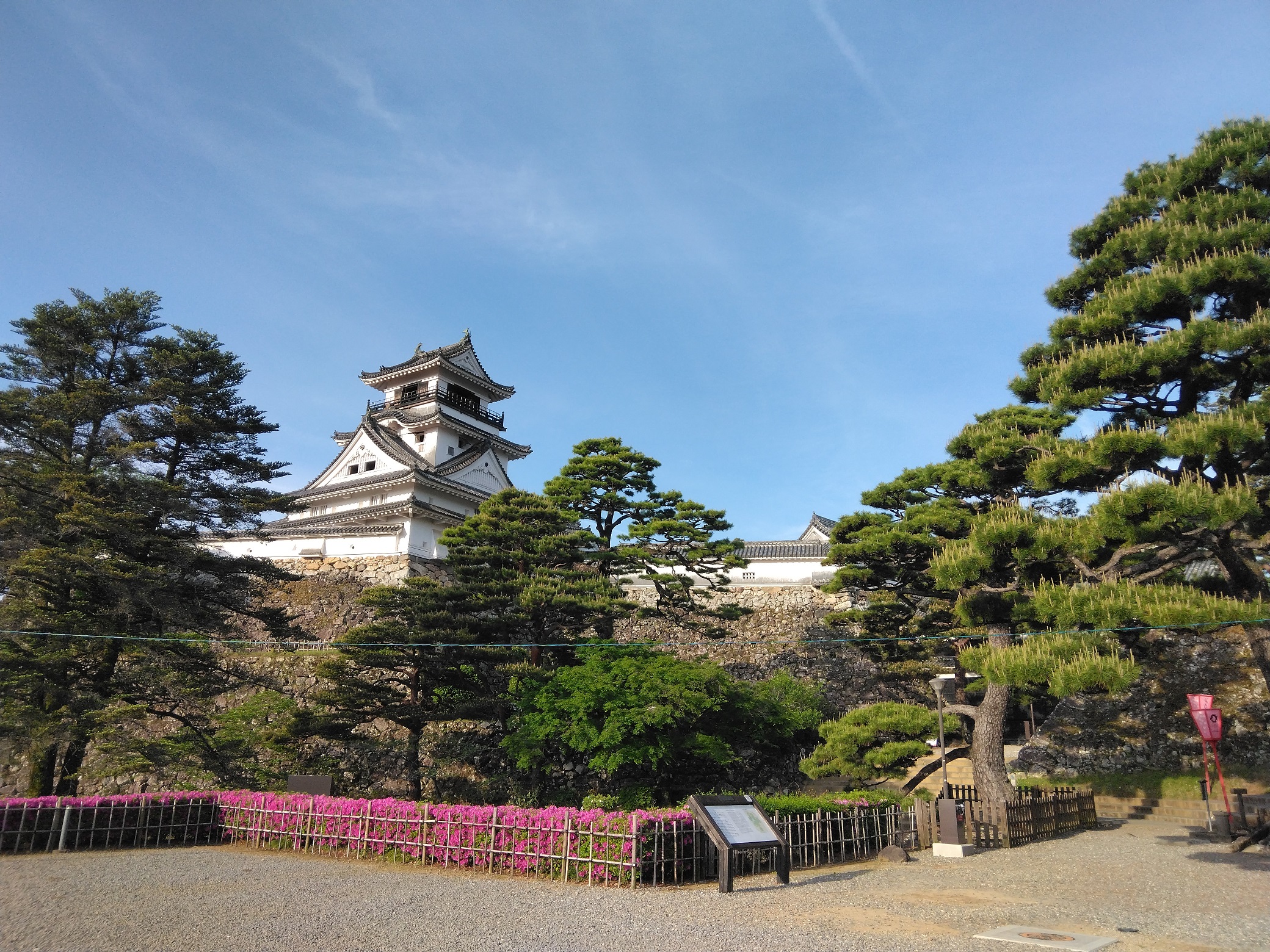 写真1